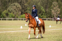 OLS_1432