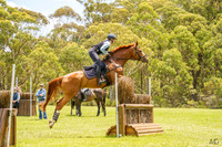 _AJG2536