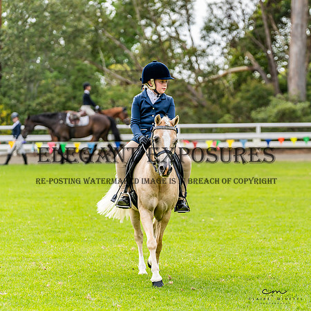 CM_8379