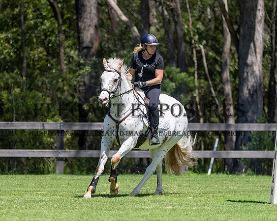 MKGX2593  - Wallaby Hill - SJ - 14.12.2024