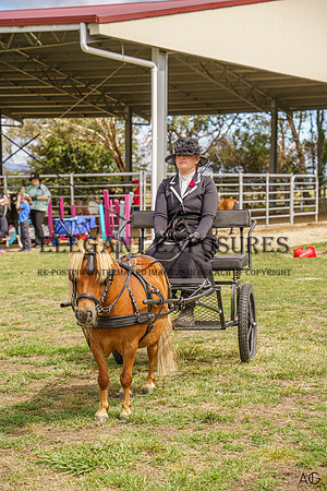 _AJG0203
