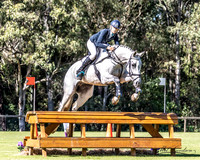 Syd 3DE - Young Horse 6 Year old