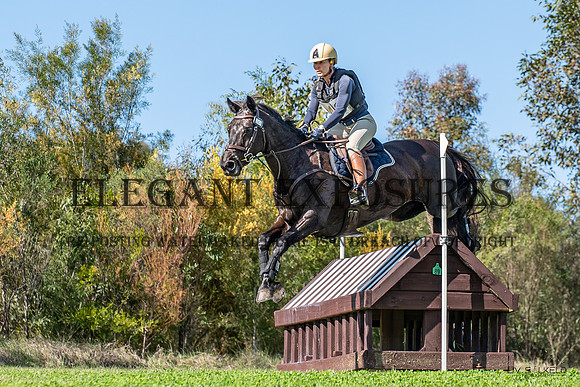 OLS_0939