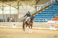 FEI PSG Youth (22-25 Years) - QSEC - 20.07.2024