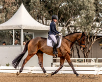 Dressage
