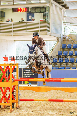 _AJG2014-Enhanced-NR
