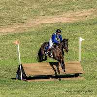 MASX4653