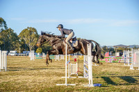 _AJG6546