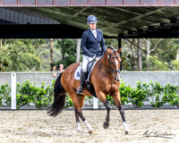 WP - Dressage - Warm Up/Extra - 29.01.2022