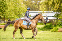 _AJG1579