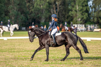 OLS_2469