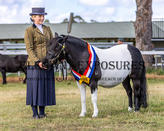 MAS_4087