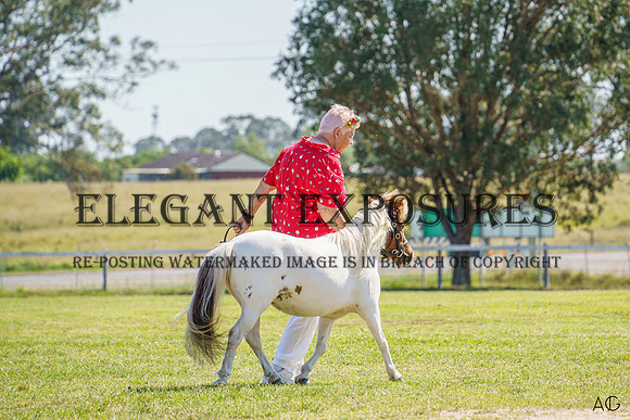 _AJG2159