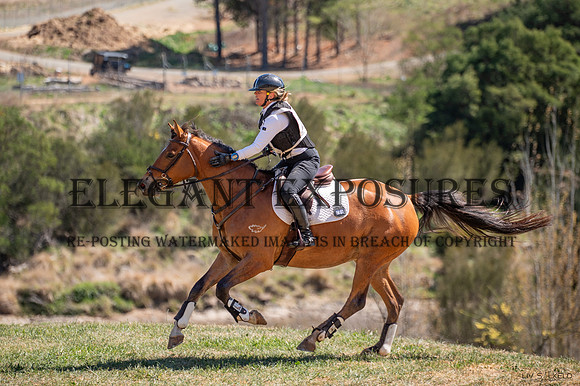 OLS_8917