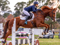 Equestriad - SJ - Ring 1 - CCN1*-S 17.05.2025