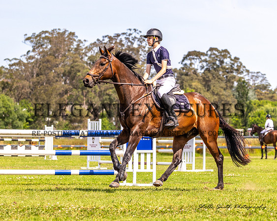 MAS_9136