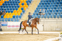 _AJG3967