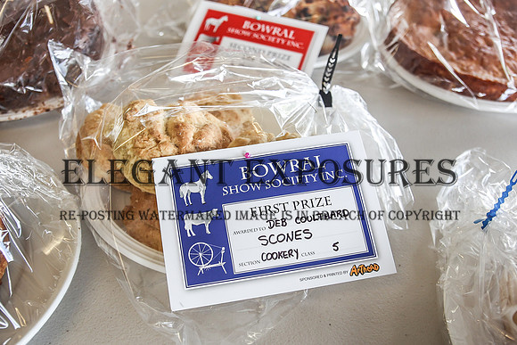 MKG_0737