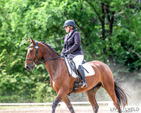 OLS_0346