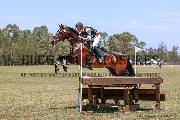 LHL(OS)-6317