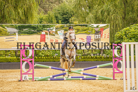 _AJG2014