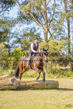 _AJG8153