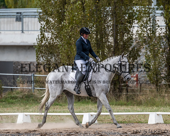 OLS_0504