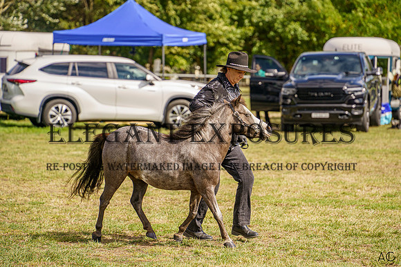 _AJG7261