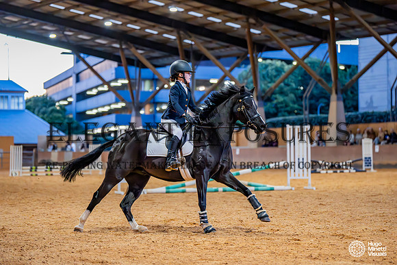 HM_0493