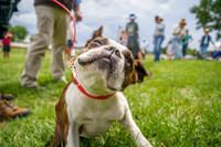 Bowral Show - Novelty Events Sunday 12.01.2025