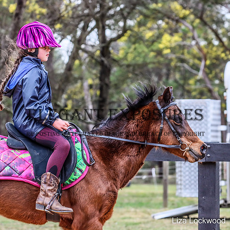 LHL-8156