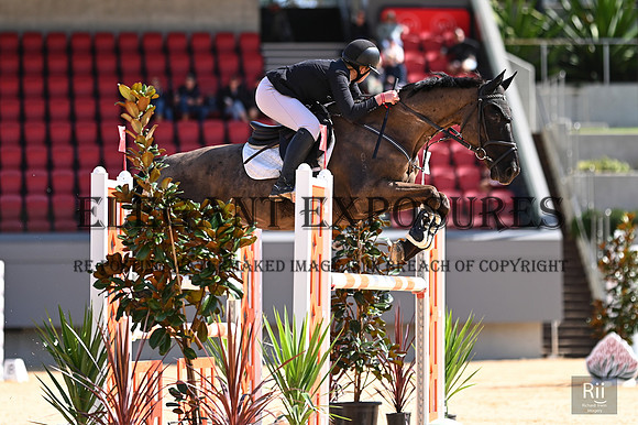 RII_1663