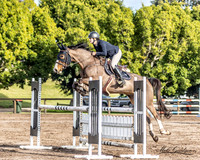 W/SJ - Ring 2 - Class 22A,B,C - 1.10m