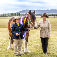 Bungendore Show - SH - 8:30am to 10:30am - 27.10.2024