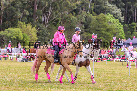 KMS-1435