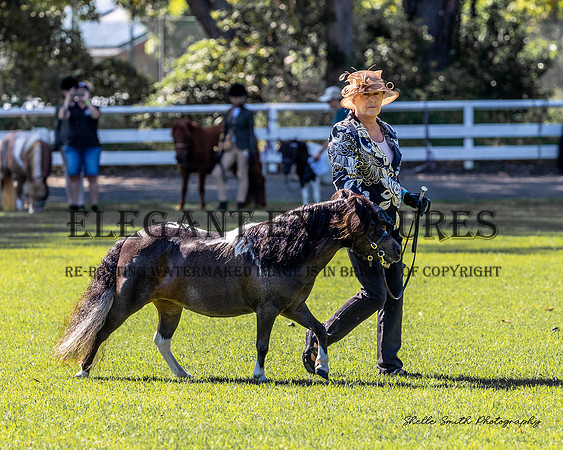 MAS_6184