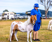 TSPS - Luddenham - Ring 2 - 22.09.2024