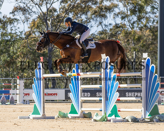 MKGX8618