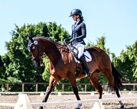 Dressage