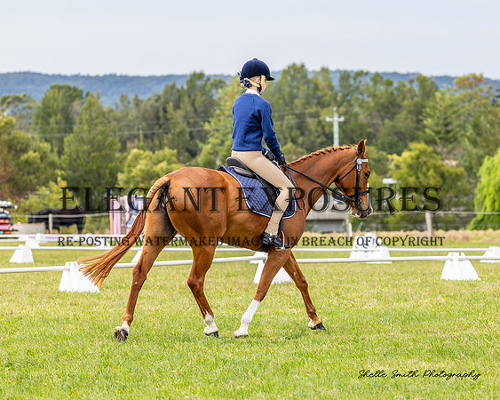 MAS_3494