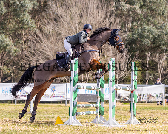 MASX1578