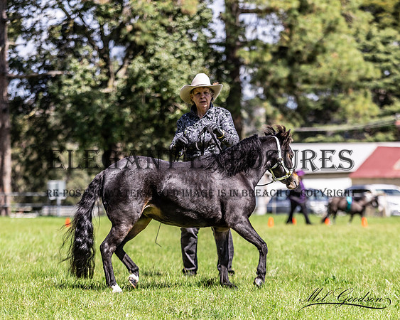 MKG_8892