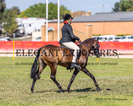 MAS_0268