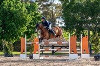 OLS_4278