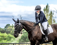 Dressage
