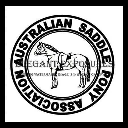 austsaddlepony logo-2