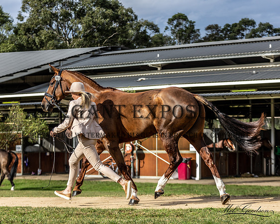 MKG_7638