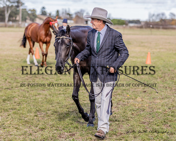 MAS-1098