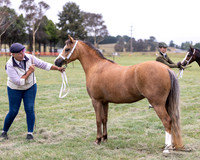 MKG_9726