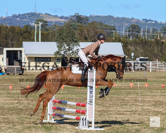 KAT (MG)-8851